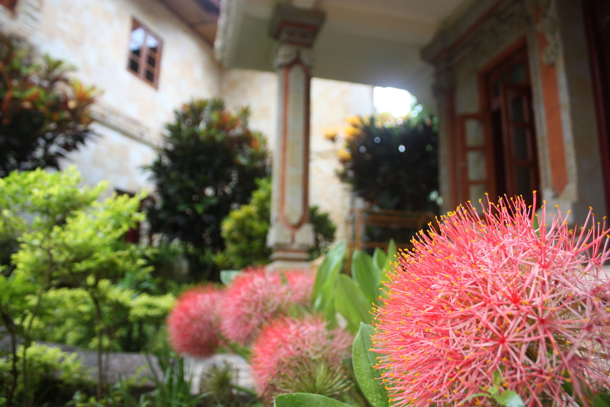 Rambutan Hotel Lovina Εξωτερικό φωτογραφία